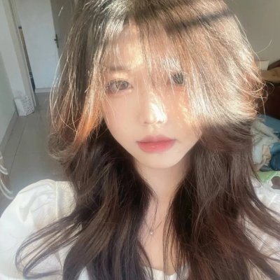 恐龙王